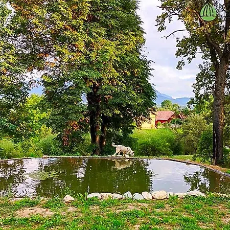 Отель Casa Aluna Duo Брашов