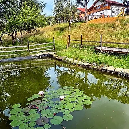 Отель Casa Aluna Duo *
